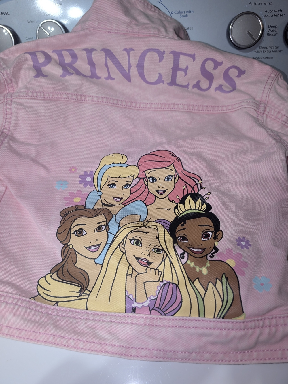 Disney Pink Princess Girls Shorts